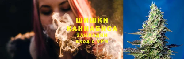 соль ск Лабытнанги