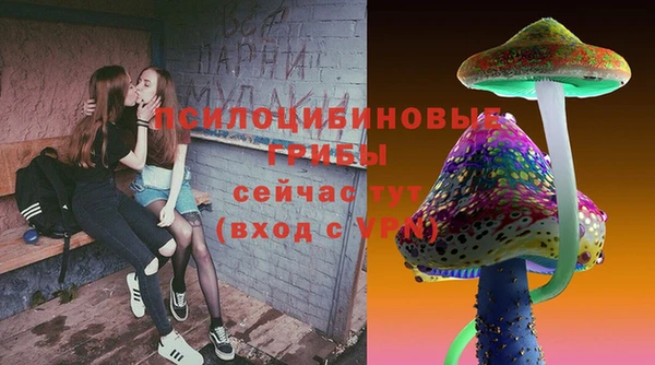 соль ск Лабытнанги