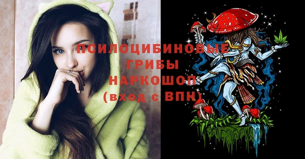 мдма Ладушкин