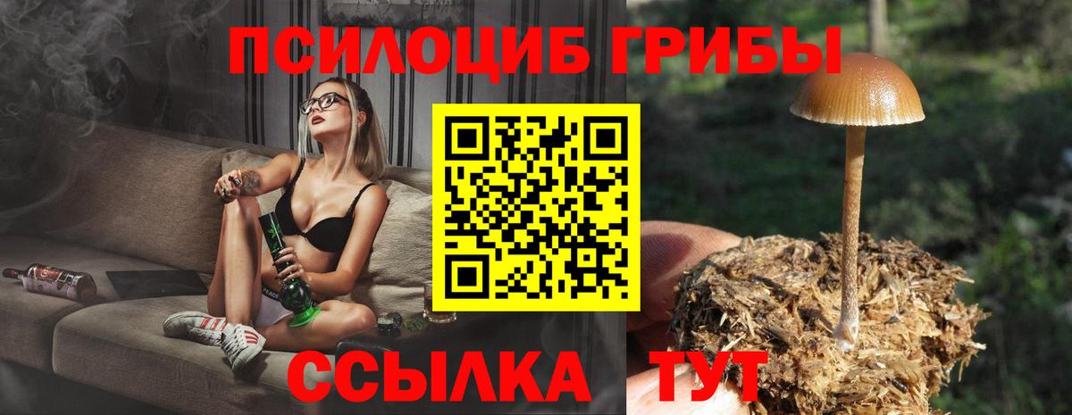 Галлюциногенные грибы Psilocybe  Псилоцибиновые грибы Psilocybine cubensis  Вход с VPN  Москва 